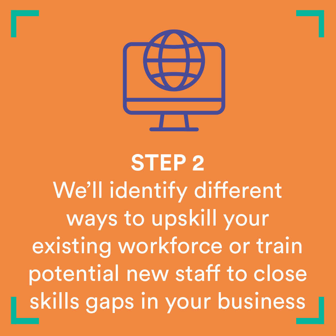 We’ll identify different ways to upskill your existing workforce or train potential new staff to close skills gaps in your business